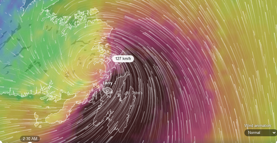 Christopher Greaves A High Wind in Jamaica.png